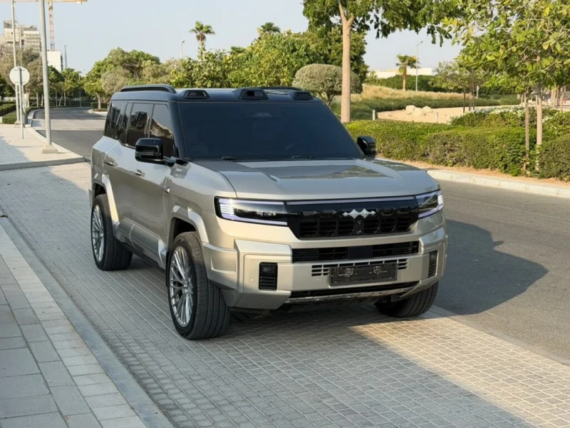 بي واي دي ليوبارد سيريس 2025