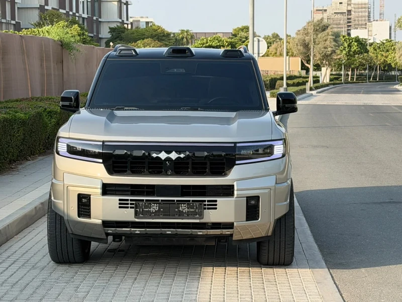 بي واي دي ليوبارد سيريس 2025