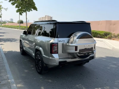 BYD Leopard Series 2025 - Photo 17